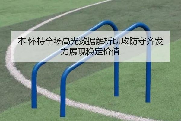 本·怀特全场高光数据解析助攻防守齐发力展现稳定价值 - leyusports